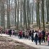 Trasa nr 2 wiodła przez Puszczę Bukową